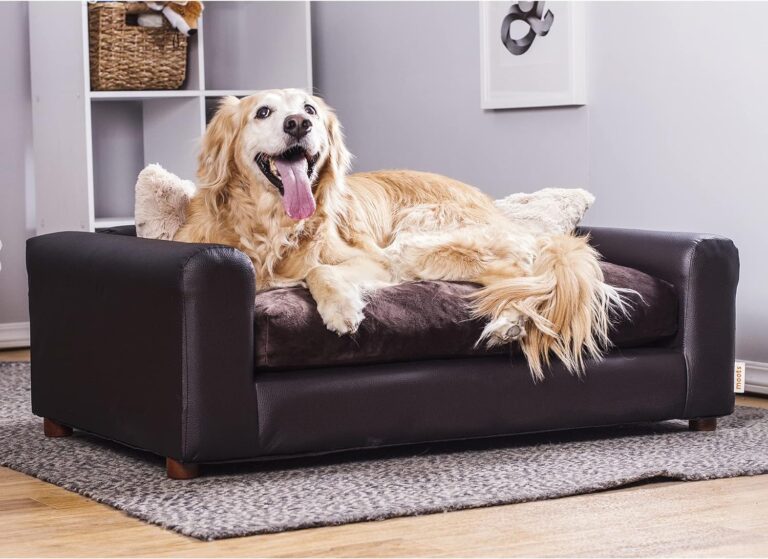 Best Sofa for Dogs: Durable and Comfortable Options for Your Furry Friends